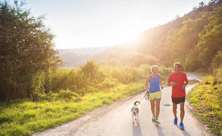 A mature couple walks their dog carefully in the summer heat.