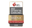 Stroke Get With the Guidelines Gold Plus
