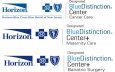 Horizon Blue Distinction Center