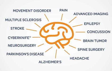 Neuroscience brain diagram