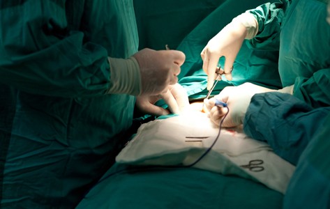 medical procedure for endocrine system
