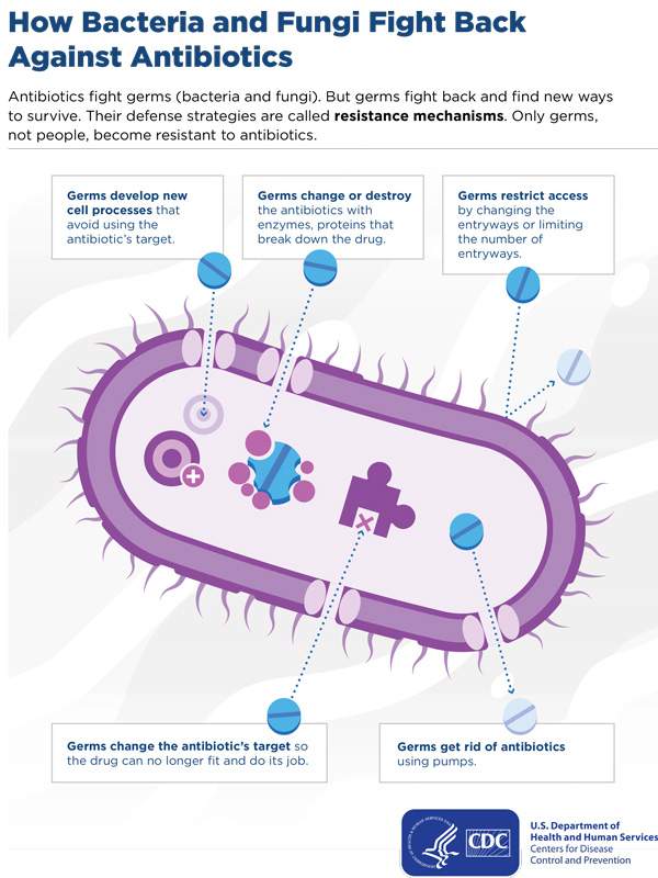 How Bacteria and Fungi Fight Back Against Antibiotics